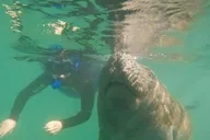 Crystal River Manatee Swim with Heated Boat 3 hr thumbnail 3