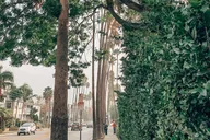 Los Angeles Hollywood History Walking Tour thumbnail 6
