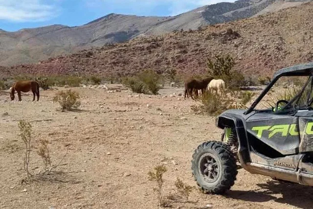 Las Vegas UTV Tour - Image 3