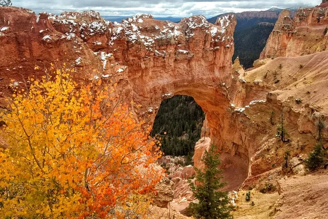 Bryce Canyon Scenic Tour - Image 4