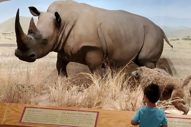 Las Vegas Natural History Museum Admission - Image 5