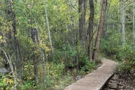 Aspen Guided Hike with Roaring Fork River Views 2 hr thumbnail 4