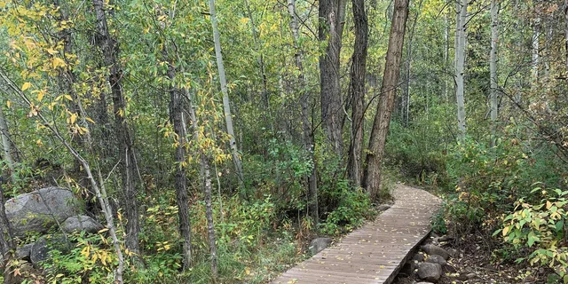 Aspen Guided Hike with Roaring Fork River Views 2 hr - Image 4
