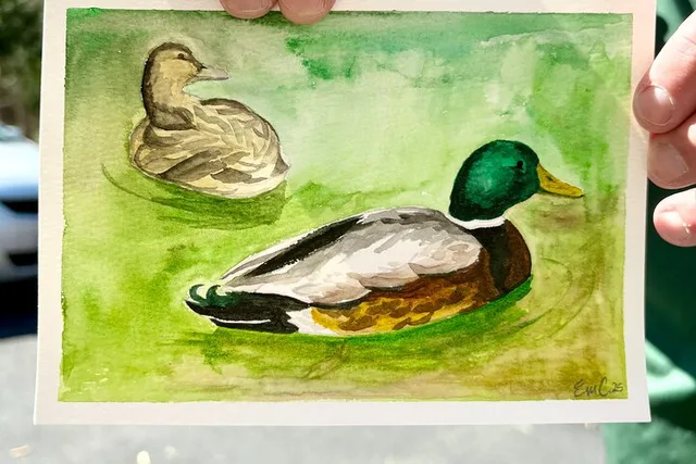 Annapolis Duck Painting Activity on the Docks - Image 1