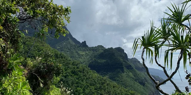 Kauai Scenic Horseback Ride - Image 5