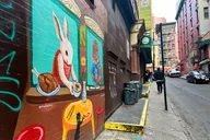 New York Chinatown Little Italy Food Tour thumbnail 5