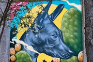 Chicago Street Art Tour in Fulton Market 2 hr thumbnail 5