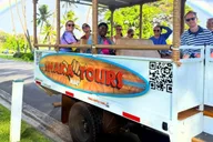 Maui Open-Air Highlights Tour from Kāʻanapali thumbnail 2