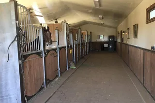 Scottsdale Horseback Riding Tour