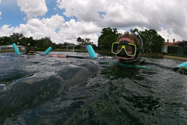 Crystal River Manatee Swim Small Group 3 Hr - Image 3