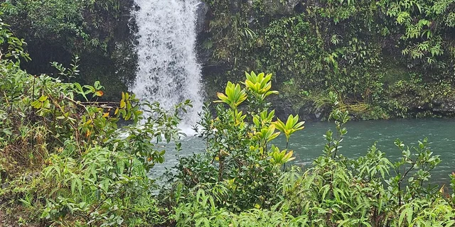 Hana Maui Private Adventure - Image 2