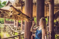 New York Central Park Zoo Tour with Private Transfers thumbnail 5