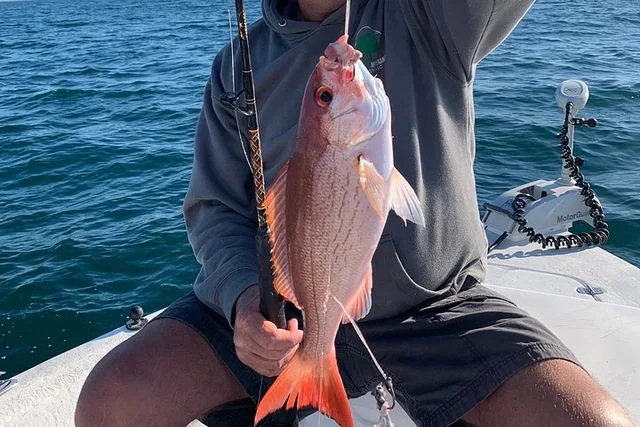 Orange Beach Fishing Charter 4 Hr - Image 4