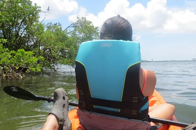 Miami Bay Kayak Eco Tour - Image 4