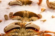 Seattle Seafood Tour with Market Visit thumbnail 1