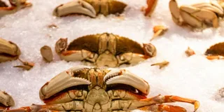 Seattle Seafood Tour with Market Visit