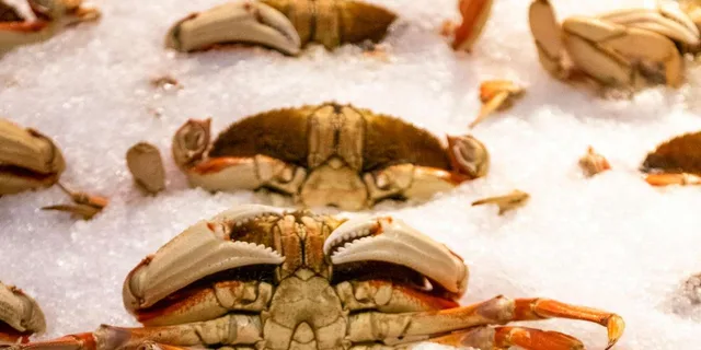 Seattle Seafood Tour with Market Visit - Image 1