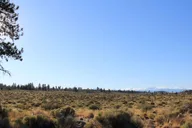 Bend Lava Tube Cave Tour 4 hr thumbnail 4