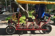 San Francisco Golden Gate Park Surrey Rental thumbnail 2