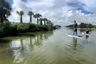 Florida Wildlife Refuge Kayak Tour thumbnail 1