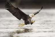Ketchikan Private Tour with Pick Up thumbnail 2
