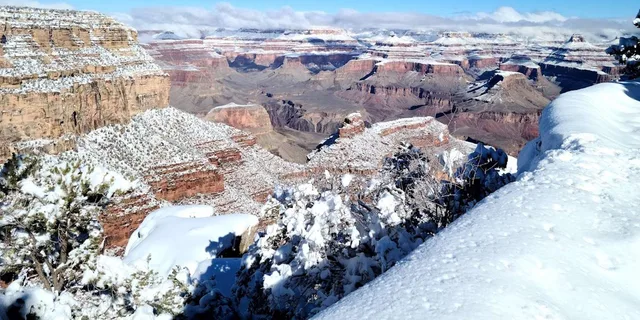 Grand Canyon National Park Tour from Flagstaff - Image 2