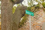 Charleston Historic Walking Tour thumbnail 2