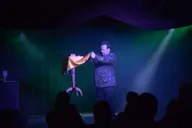 Pigeon Forge Magic Show Starring Steven Best 90 min thumbnail 5