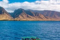 Ka'anapali Whale Watching Tour thumbnail 4