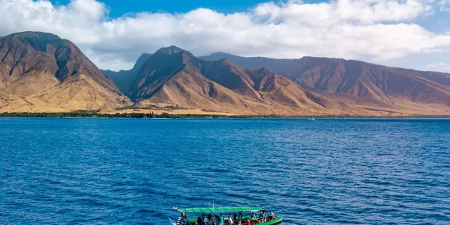 Ka'anapali Whale Watching Tour - Image 4