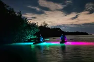 Indian River Bioluminescent Kayak Tour thumbnail 3
