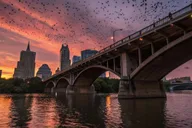 Austin Bars and Bats Guided Tour 3 hr thumbnail 1