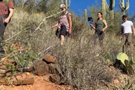 Phoenix Sonoran Desert Guided Hike 2 hr thumbnail 2