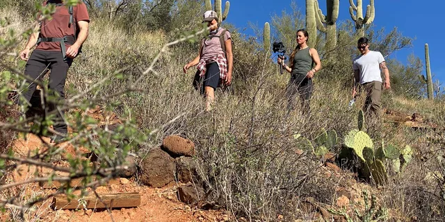 Phoenix Sonoran Desert Guided Hike 2 hr - Image 2