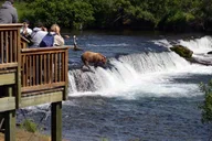 Katmai Bear Viewing Float Plane Tour thumbnail 5