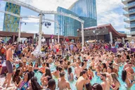 Las Vegas Party Bus Tour with Club Entry thumbnail 1