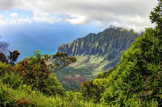 Kauai Private Guided Tour of Waimea Canyon