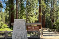 San Francisco Yosemite Giant Sequoias Private Tour 13 hr thumbnail 2