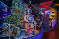 San Antonio Buckhorn Saloon & Texas Ranger Museum Entry thumbnail 5