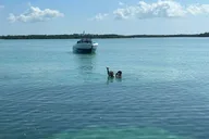Key West Island Hop Sandbar Adventure 4 hr thumbnail 5