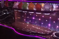Brooklyn Christmas Limousine Tour thumbnail 4