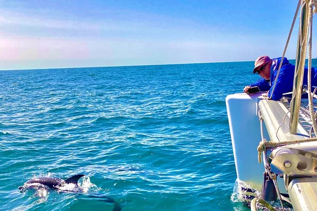 Key West Catamaran Snorkeling and Dolphin Tour - Image 2