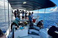 Maui Whale Watching Tour at Midday thumbnail 4