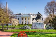 Washington DC Private Tour Half-Day thumbnail 1