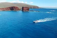 Lahaina Snorkel and SCUBA Adventure thumbnail 5