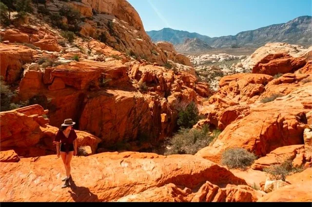 Red Rock Canyon Shared Tour - Image 3