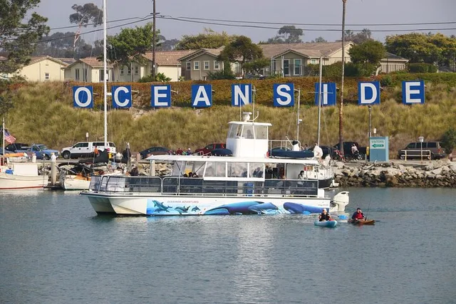 Oceanside Whale Watching Tour 2 hr - Image 4