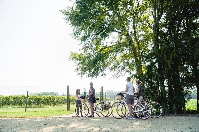 Richmond Bicycle Tour at Upper Shirley Vineyards 3 hr - Image 1