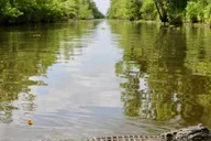 New Orleans Airboat Swamp Tour thumbnail 5