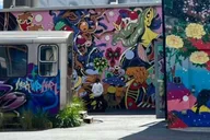 Miami Street Art Tour in Wynwood (2 hr) thumbnail 5